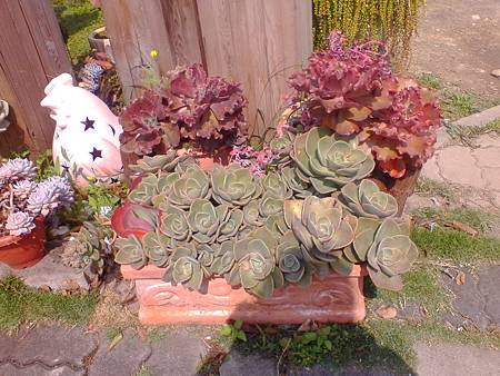 IMG_20160215_124858.jpg IMG_20160215_124858.jpg