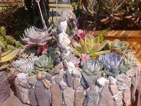 IMG_20160215_124909.jpg IMG_20160215_124909.jpg