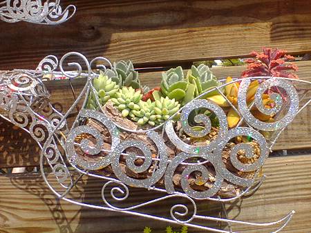 IMG_20160215_124923.jpg IMG_20160215_124923.jpg