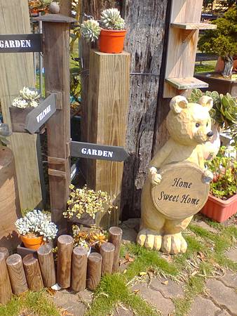 IMG_20160215_124947.jpg IMG_20160215_124947.jpg