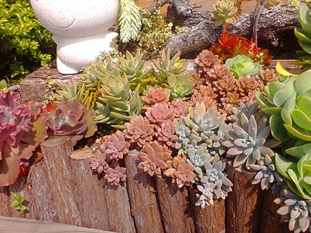 IMG_20160215_125031.jpg IMG_20160215_125031.jpg