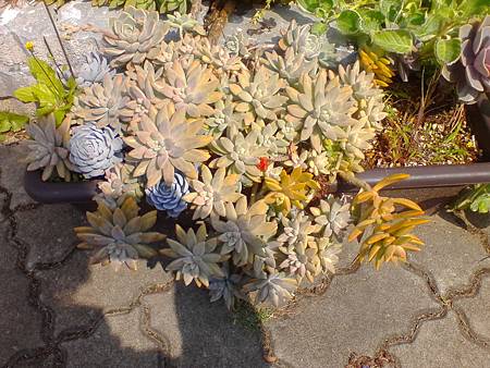 IMG_20160215_125134.jpg IMG_20160215_125134.jpg