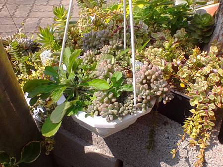 IMG_20160215_125148.jpg IMG_20160215_125148.jpg