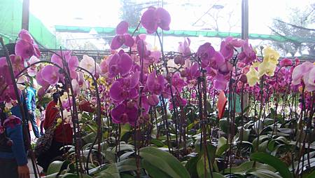 DSC05241.JPG DSC05241.JPG