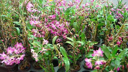 DSC05243.JPG DSC05243.JPG