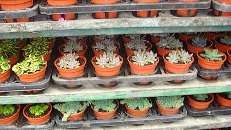 DSC05244.JPG DSC05244.JPG