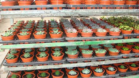 DSC05247.JPG DSC05247.JPG