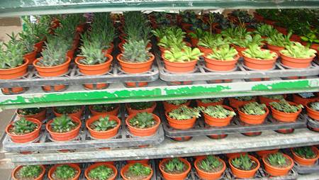 DSC05248.JPG DSC05248.JPG