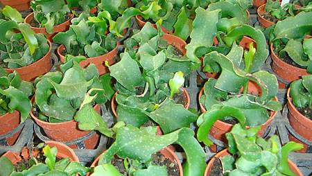 DSC05253.JPG DSC05253.JPG