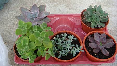 DSC05257.JPG DSC05257.JPG