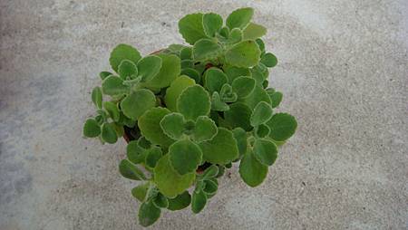 DSC05258.JPG DSC05258.JPG