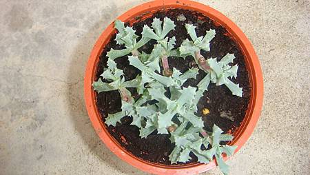 DSC05260.JPG DSC05260.JPG