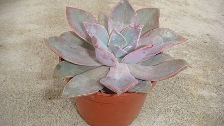 DSC05263.JPG DSC05263.JPG