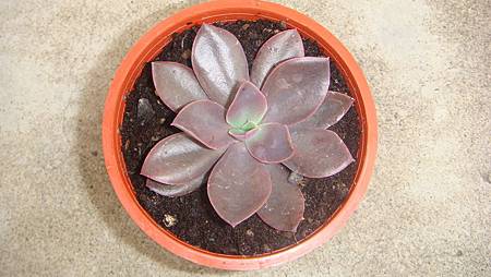 DSC05265.JPG DSC05265.JPG