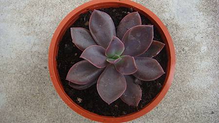 DSC05266.JPG DSC05266.JPG