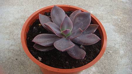 DSC05267.JPG DSC05267.JPG