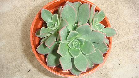 DSC05269.JPG DSC05269.JPG