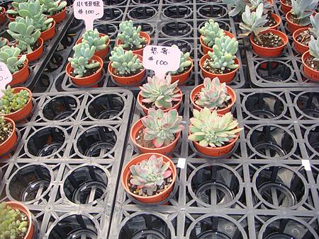 DSC06063.JPG DSC06063.JPG