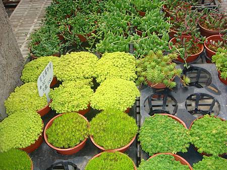 DSC06093.JPG DSC06093.JPG