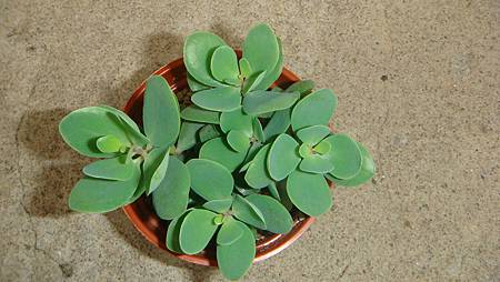 01 (2).JPG 01 (2).JPG