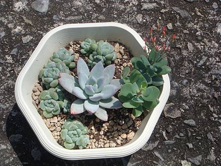 DSC05858.JPG DSC05858.JPG