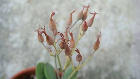 DSC07218.JPG DSC07218.JPG