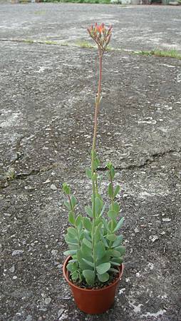 DSC07346.JPG DSC07346.JPG