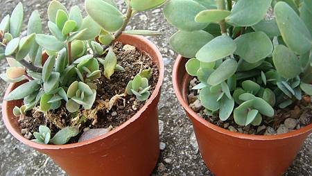 DSC07349.JPG DSC07349.JPG