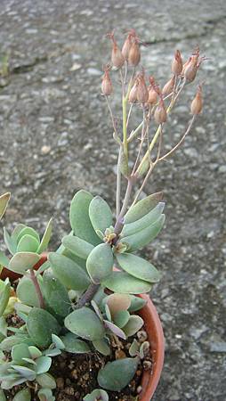 DSC07363.JPG DSC07363.JPG