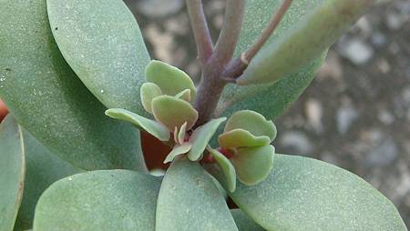 DSC07397.JPG DSC07397.JPG