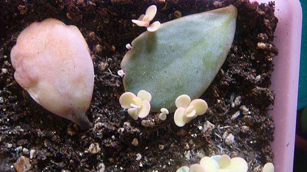 DSC08326.JPG DSC08326.JPG