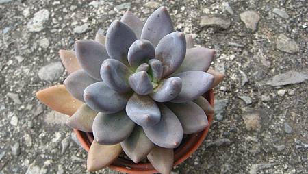 DSC08409.JPG DSC08409.JPG