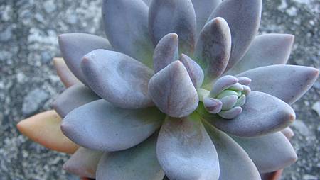 DSC08562.JPG DSC08562.JPG