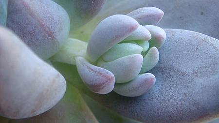 DSC08567.JPG DSC08567.JPG