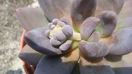 DSC08645.JPG DSC08645.JPG