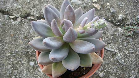 DSC08678.JPG DSC08678.JPG