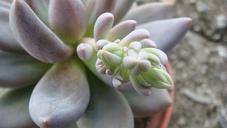 DSC08680.JPG DSC08680.JPG