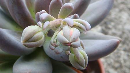 DSC08728.JPG DSC08728.JPG