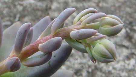 DSC08729.JPG DSC08729.JPG