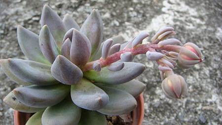 DSC08773.JPG DSC08773.JPG