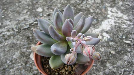 DSC08774.JPG DSC08774.JPG