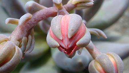 DSC08840.JPG DSC08840.JPG