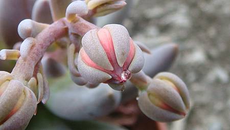 DSC08778.JPG DSC08778.JPG