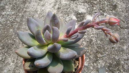 DSC08861.JPG DSC08861.JPG