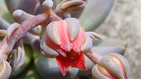 DSC08866.JPG DSC08866.JPG