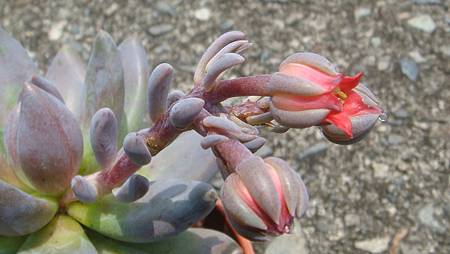 DSC08881.JPG DSC08881.JPG