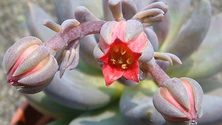 DSC08882.JPG DSC08882.JPG