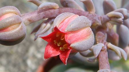 DSC08883.JPG DSC08883.JPG