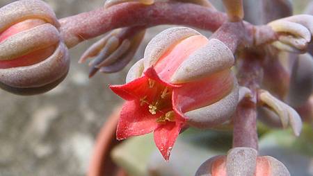 DSC08913.JPG DSC08913.JPG