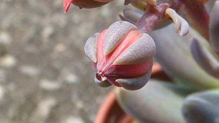 DSC08914.JPG DSC08914.JPG